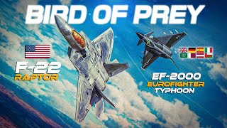 EF2000 Eurofighter Typhoon Vs F22 Raptor Dogfight  Digital Combat Simulator  DCS [upl. by Ylluz]