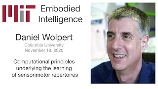 Daniel Wolpert  Computational principles underlying the learning of sensorimotor repertoires [upl. by Colline]