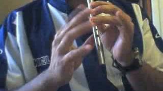 Donnybrook Fair Tin Whistle [upl. by Nate]