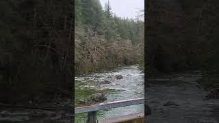 Beckler River tributary to the South Fork of the Skykomish River [upl. by Grimona354]