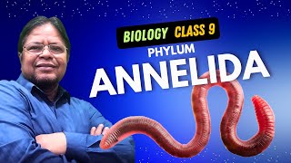 Phylum Annelida [upl. by Goldstein]