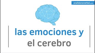 Estrategias para la regulación emocional [upl. by Cahra]