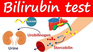 Bilirubin test  Direct Indirect amp Total bilirubin levels [upl. by Ennej]