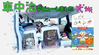 改良の余地だらけ真っ直ぐ寝られない車で車中泊始めました、ハマる道の駅スタンプラリー犬連れで制覇 [upl. by Diraj]