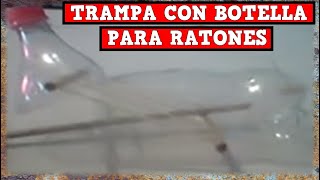 Trampa Para Ratones o Ratas con Botella tutorial completo  YMX SUPERVIVENCIA [upl. by Wetzel]