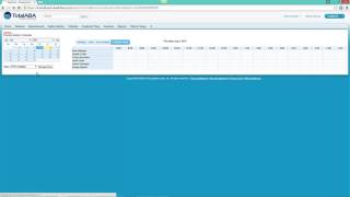 Schedule Views in TotalABA [upl. by Asirrak]