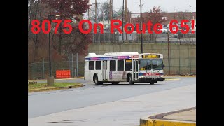 NeoplanDude  SEPTA 2005 New Flyer D40LF Musical ZF 8075 On Route 65 To 69th St [upl. by Remas303]