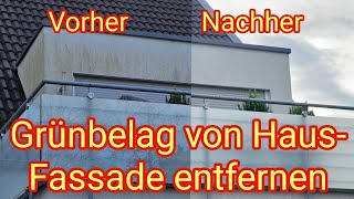 Grünbelag von Hauswand selbst entfernen ohne Hochdruckreiniger mit Abacus Nell Fassade [upl. by Artenahs359]