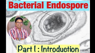 Bacterial Endospore formation Introduction Part I [upl. by Marks]