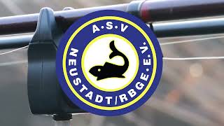 Engagierter Angelverein sorgt für den richtigen Besatz Stichwort Hege und Pflege [upl. by Nosnehpets921]