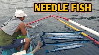 PATAW PATAW PARA SA BALO OR NEEDLE FISH  TRADITIONAL FISHING IN SARANGANI PROVINCE  NOV 25 2020 [upl. by Grodin]