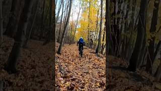 foliage ride 🍂 railtrail [upl. by Pan]