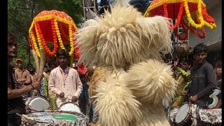 SHER DANCE RAJNANDGAON 2023 🦁 RADHA RANI DHUMAL 🥁 [upl. by Glenine950]