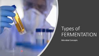 Types of FERMENTATION  Fermentation  What is fermentation [upl. by Hoashis]