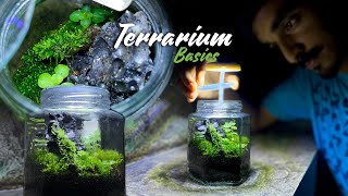 ചില്ല് കുപ്പിക്കുള്ളിലെ മിനി ഫോറെസ്റ്റ്  Terrarium Guide diy [upl. by Hezekiah786]