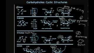 Cyclic Carbohydrate Structures Furanose and Pyranose Sugars [upl. by Hoon27]