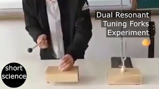 Dual Resonant Tuning Forks Experiment [upl. by Au]