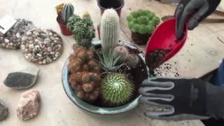 DIY Cacti Garden  Colasantis [upl. by Tiana201]