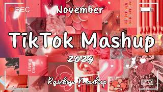 Tiktok Mashup November 💗2024💗 Not Clean [upl. by Bartlet]