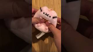 Is this little plushy dollsized🤔❤️squishmallows plushys asmr [upl. by Yreme]