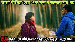 যে ভালোবাসার গল্পে কাঁদবেন আপনিও  Us and Them 2018 Chinese Love Story Movie Explain in Bangla [upl. by Tullus]