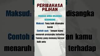 PART 148  Peribahasa pilihan dan Maksud  JenisJenis Peribahasa [upl. by Thor]