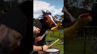 The Horse that chews a rubber chicken funny animals awesome [upl. by Venditti722]