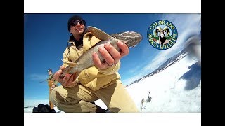 Ice Fishing  Granby Lake Trout [upl. by Priscella663]