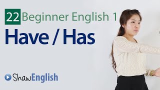 English Grammar Have  Has [upl. by Neelrahc]