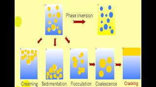 Lec 11 EMULSIONS Physical Stability شرح بالعربي [upl. by Nnyleak]