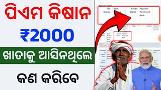 ପିଏମ କିଷାନ ଟଙ୍କା ପାଇ ନଥିଲେ ଦେଖନ୍ତୁ  pm kisan 18th installment money pending at bank [upl. by Mccourt]