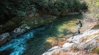 Fly Fishing Secluded Appalachian Trout Streams [upl. by Gar764]