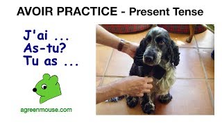 Avoir French Verb Practice  Present Tense [upl. by Chambers65]