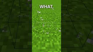 Hold up shorts minecraft minecraftglitches minecraftshorts fyp itsmejames gaming [upl. by Durgy]