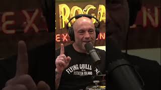 Joe Rogan On Terence McKenna And Science  joeroganexperience [upl. by Aiet]