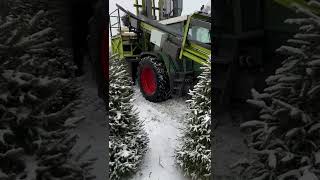 Christmas trees packing in Lithuania [upl. by Helmer853]