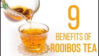 9 Amazing Ways Rooibos Tea Can Benefit Your Health  Organic Facts [upl. by Blackburn]