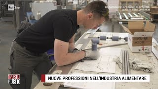 Nuove professioni nellindustria alimentare  Il Posto Giusto 04062023 [upl. by Attaymik834]