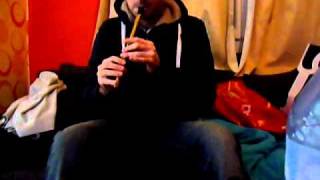 DonnyBrook Fair  Tin Whistle [upl. by Clint]