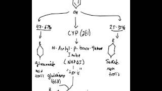 Acetaminophen Toxicity [upl. by Akinas]