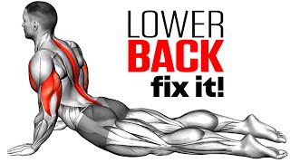 Exercises To Reduce Lower Back Pain [upl. by Kendry98]