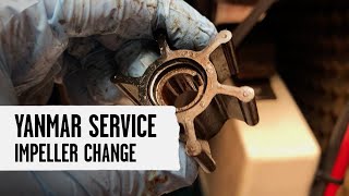 How to Replace Yanmar Impeller [upl. by Cheney303]