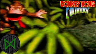 Making Me Look Stupid  Donkey Kong Country 4 [upl. by Gilud776]