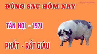 Chấn Động Trúng Lớn  Tân Hợi 1971  Đúng Sau Ngày Hôm Nay  Hưởng Lộc Rực Rỡ  Vô Cùng Giàu Có [upl. by Aviva430]