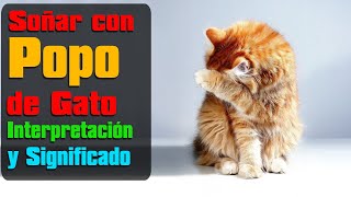 Soñar con caca de gato heces excremento o popo  Descubre todos los Significados [upl. by Sulakcin]