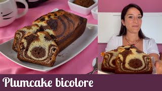 Plumcake bicolore senza burro [upl. by Reifinnej]