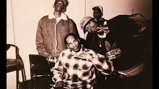 Tha Dogg Pound  What Would You Do Alternate Remix 1994 [upl. by Anse]