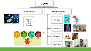 Epidemiological triad by DR INDIRA SENIOR LECTURER [upl. by Ebbarta569]