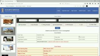 Case Type Search  District Court Services [upl. by Nager]