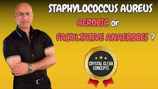 Staphylococcus Aureus  Aerobic or Facultative Anaerobic Bacteria [upl. by Reeves]